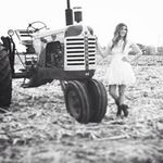 Amy Dewitt - @adewitt127 - Instagram