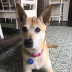 Amy Dewitt - Facebook