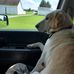 Amy Deyo - Facebook