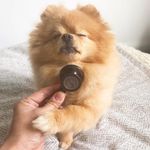 amy diack - @diackamy006 - Instagram