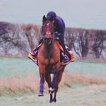 Amy F Dickens - @amydickens295 - Instagram