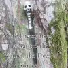 AmyDIETERICH - @amy.dieterich8785 - TikTok