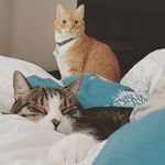 Klaus Dieter & Amy - @klausdieteramy - Instagram