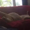Amy DeGiovanni - @amydegiovanni - TikTok
