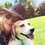 Amy Di Gregorio - @ourhomeonfranklin - Instagram