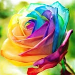 Amy Doyle - Facebook