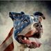 Amy Deuce Dittman - Facebook