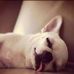 Amy Dominick - Facebook