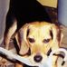 Amy Donley - Facebook