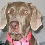 Amy Schaar Donley - @schaardonley - Instagram