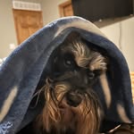 Amy Doty - @ojm7203 - Instagram