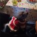 Amy Drumm - Facebook