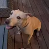 user3460435544936 - @amy.dryden - TikTok
