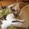 Amy DuBois - @amydubois81 - TikTok