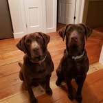 Amy M Dubois - @dubois1430 - Instagram