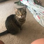 Amy Durst - @acdurst - Instagram