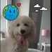 Amy Nicole Dutton White - Facebook