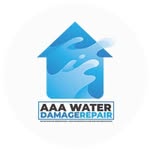 Amy Dykstra - @aaawaterdamage - Instagram