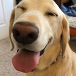 Amy Beza Ebinger - @amybezaebinger - Instagram