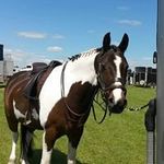 Amy Eccleston - @amyecc_ - Instagram