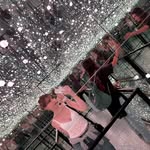 Amy Eckhoff - @totally_n0t_amy - Instagram