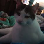 Amy Edgington - @edgington.amy - Instagram