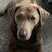 Amy Elsasser - Facebook