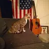 amyvanepps971 - @amyvanepps971 - TikTok
