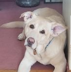 Amy Eshleman Johnson - Facebook