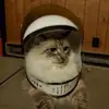 Amy Eskew - @amy.eskew - TikTok