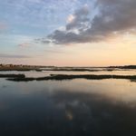 Amy Hanks Eskew - @amysq83 - Instagram