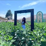 Amy Lizarraga Esparza - @amalializarrag - Instagram