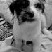 Amy Esper - Facebook
