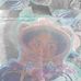 Amy Esper - Facebook
