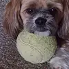 amyespey72 - @momofchewbacca - TikTok
