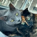 エイミーとエッサ／Amy and Essa - @amy_and_essa - Instagram