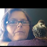 Amy Estep - @fuzzysnugglebug - Instagram