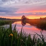 Amy Etherington - @roosterderooster - Instagram
