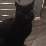 Amy Etherington - @amy_3491 - Instagram