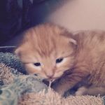 hope etherington - @hopeamyetherington - Instagram