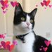 Amy Etherton - Facebook