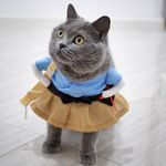 @amyeugenekitty - Instagram