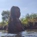 Amy Yara - Facebook
