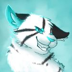 Amy Evelyn - @blueheartwolf - Instagram