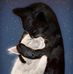 Amy Everman - Facebook