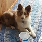 Amy Everman - @amy.everman.9081 - Instagram