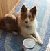 Amy Everman - Facebook