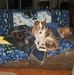 Amy Everman - Facebook