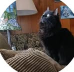 Amy Every Passick - Facebook