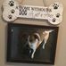 Amy Evola - Facebook